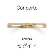 【サンプル】結婚指輪 / セグイド / CM‐6010M